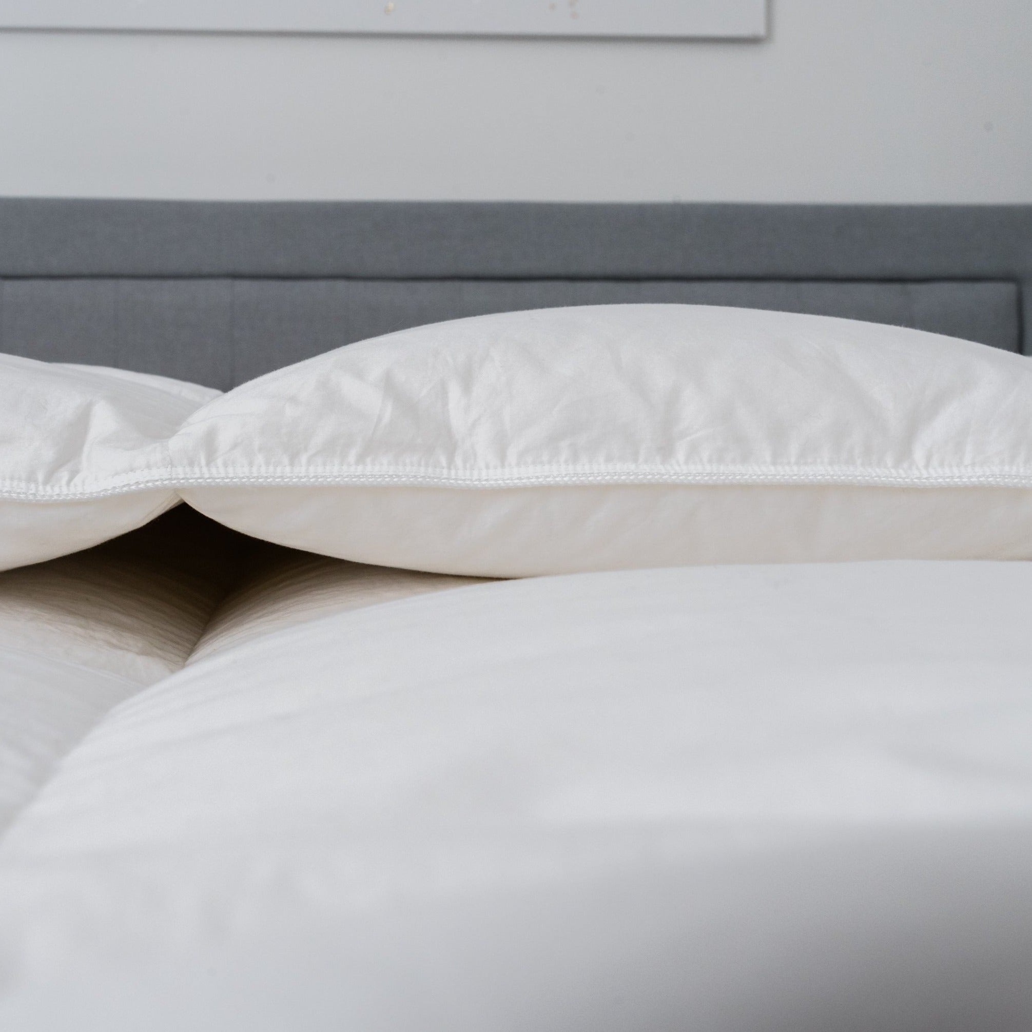 Signature White Goose Down Duvet | Poland | 850 Fill Power